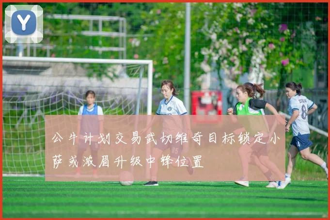 公牛计划交易武切维奇目标锁定小萨或浓眉升级中锋位置