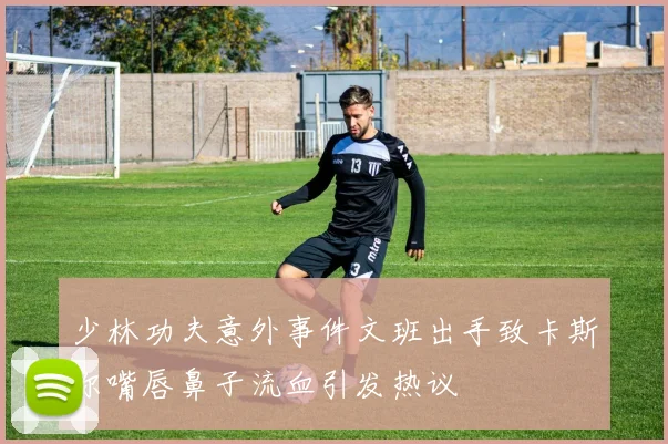 少林功夫意外事件文班出手致卡斯尔嘴唇鼻子流血引发热议